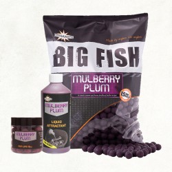 Dynamite Baits Big Fish Mulberry Plum Boilies 1 kg
