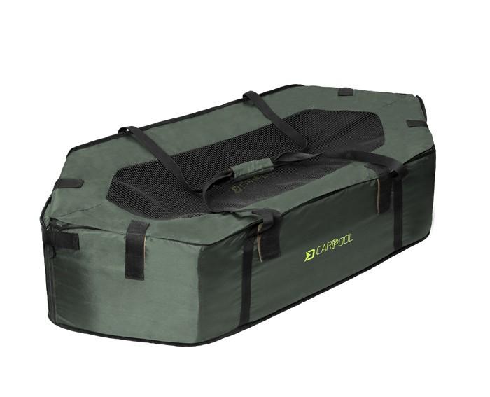 Delphin CarpPool