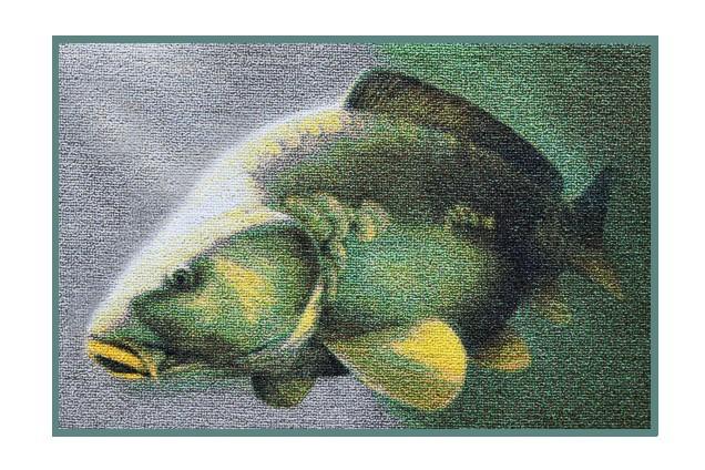 Delphin Wycieraczka 3D