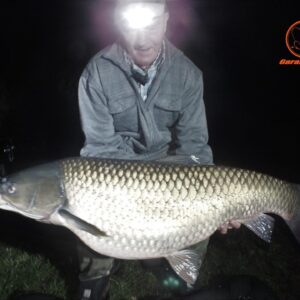 Garant Baits Ecoline Fish Mix  24 mm/5 kg - obrazek 9