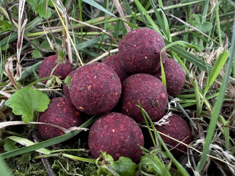 Garant Baits Hot Berry 20 mm/1 kg - obrazek 3